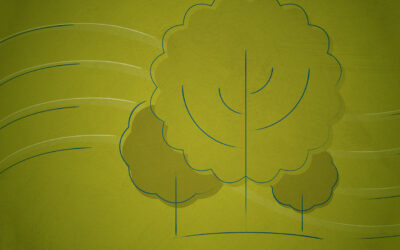 Spring Cleaning for Your Projects