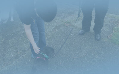 Business Is Personal