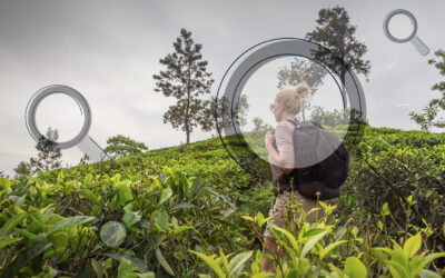 Understanding Your Audience