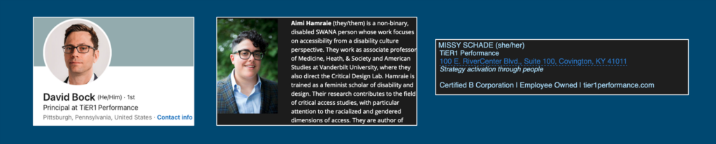 Three examples of using pronouns in business communications, including on a user's LinkedIn profile, in a professional bio, and in an email signature